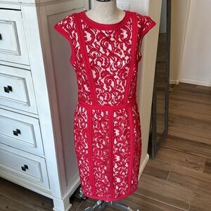 Tadashi Shoji 10 lace overlay dress